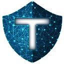 Tandem Cyber Solutions logo